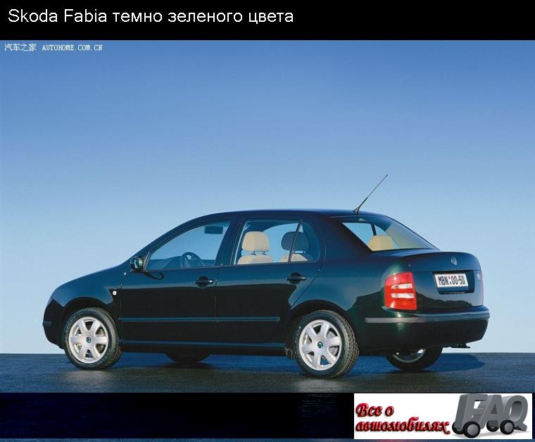 Skoda Fabia темно зеленого цвета